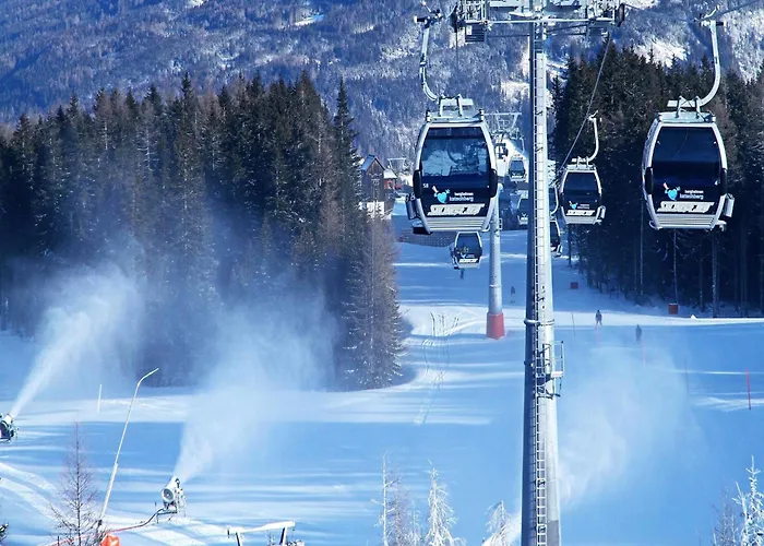 Almapartment Pichl 7-3